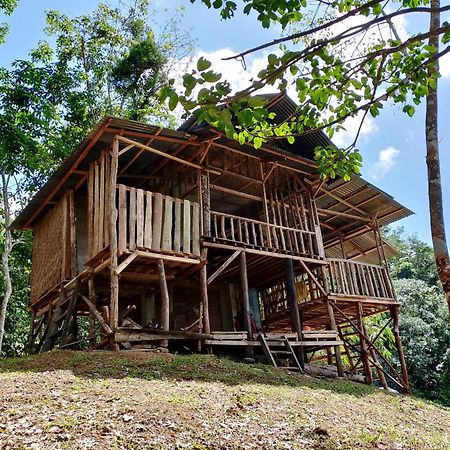 Orangutantreksumatra & Lovely Jungle Lodge Only Book If You Are Treking With Us ブキットラワン エクステリア 写真