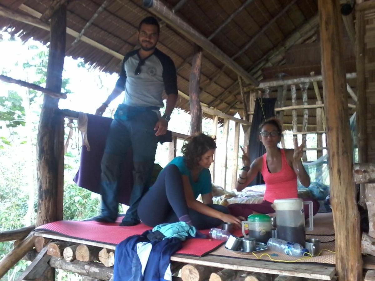Orangutantreksumatra & Lovely Jungle Lodge Only Book If You Are Treking With Us ブキットラワン エクステリア 写真