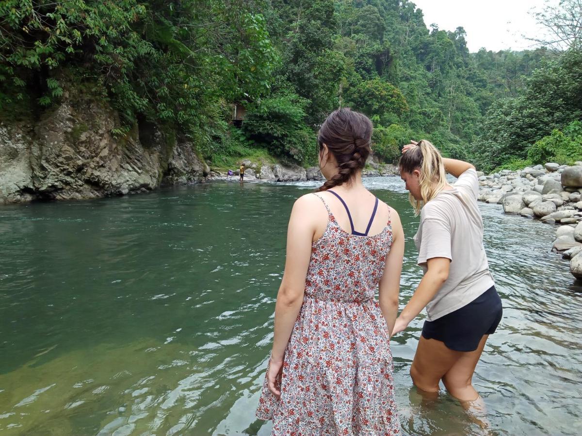 Orangutantreksumatra & Lovely Jungle Lodge Only Book If You Are Treking With Us ブキットラワン エクステリア 写真