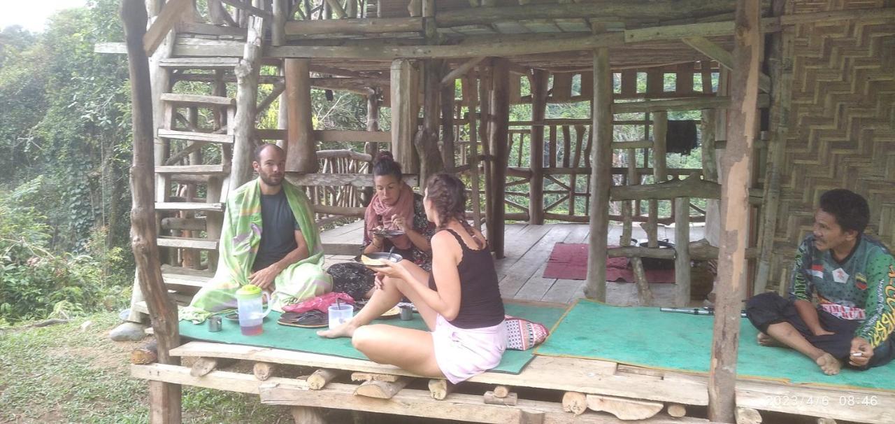 Orangutantreksumatra & Lovely Jungle Lodge Only Book If You Are Treking With Us ブキットラワン エクステリア 写真