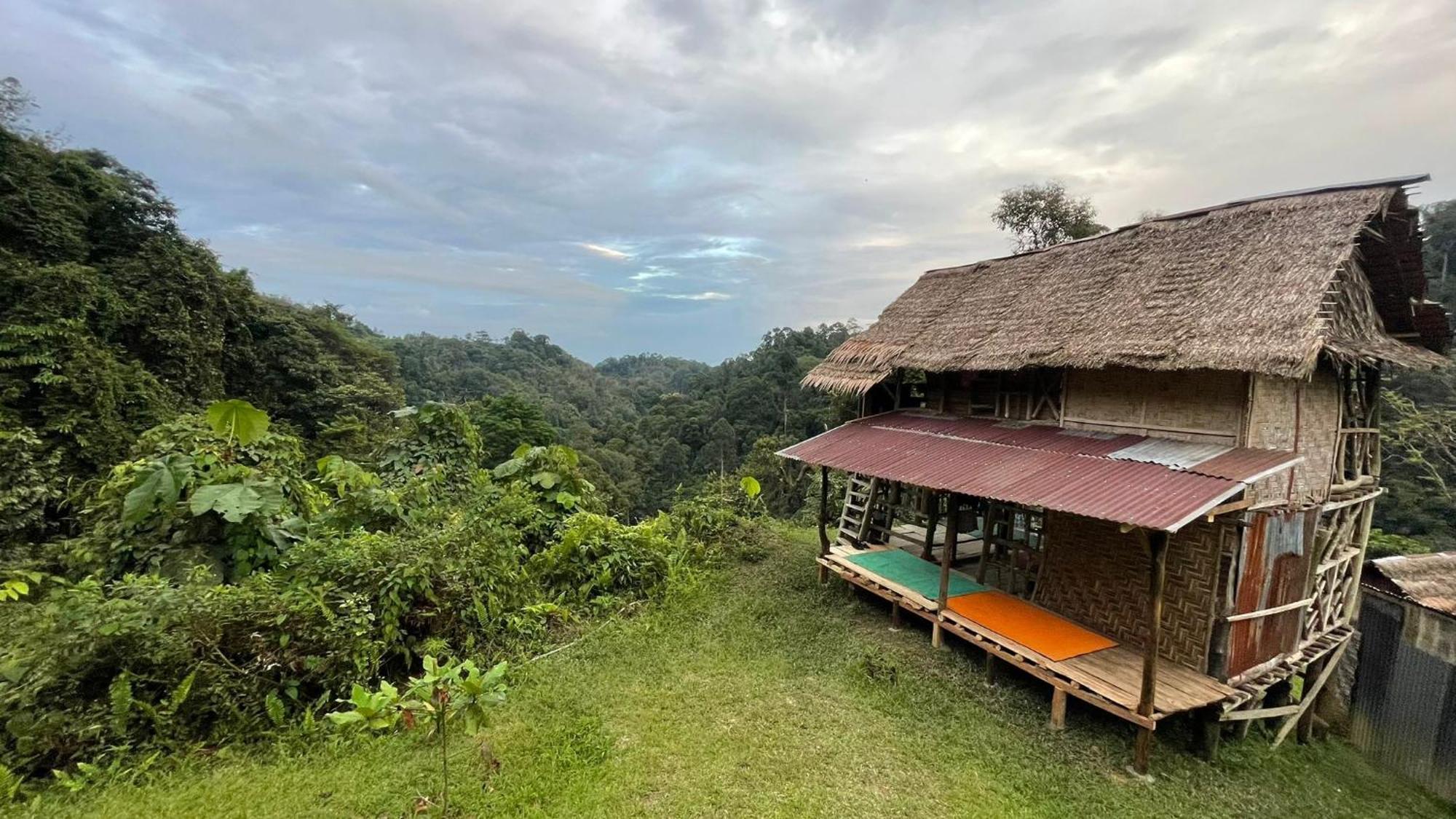 Orangutantreksumatra & Lovely Jungle Lodge Only Book If You Are Treking With Us ブキットラワン 部屋 写真