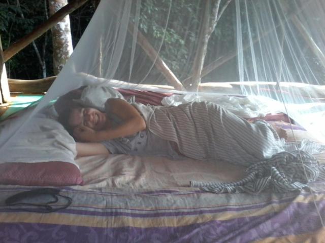 Orangutantreksumatra & Lovely Jungle Lodge Only Book If You Are Treking With Us ブキットラワン 部屋 写真