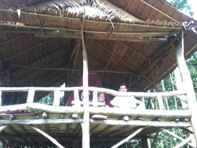 Orangutantreksumatra & Lovely Jungle Lodge Only Book If You Are Treking With Us ブキットラワン 部屋 写真