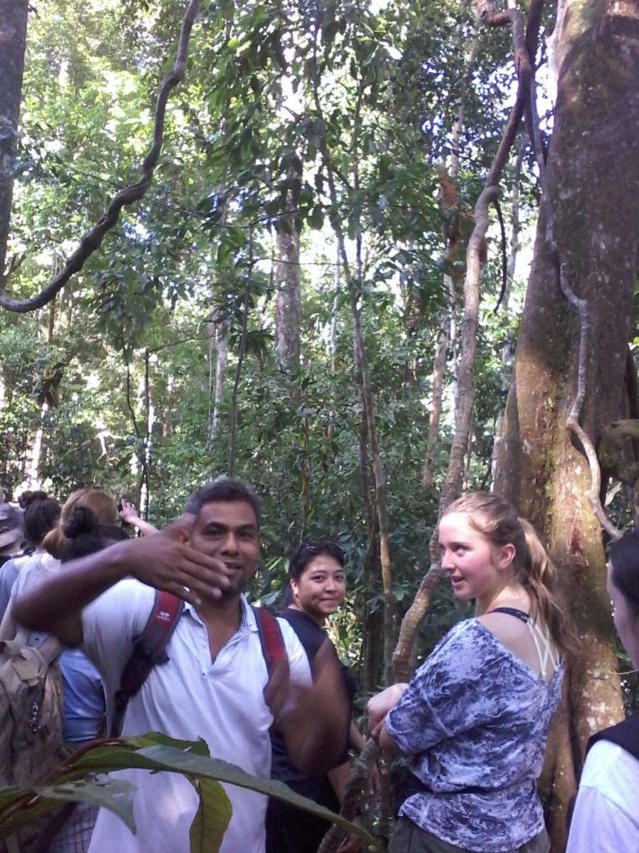 Orangutantreksumatra & Lovely Jungle Lodge Only Book If You Are Treking With Us ブキットラワン 部屋 写真