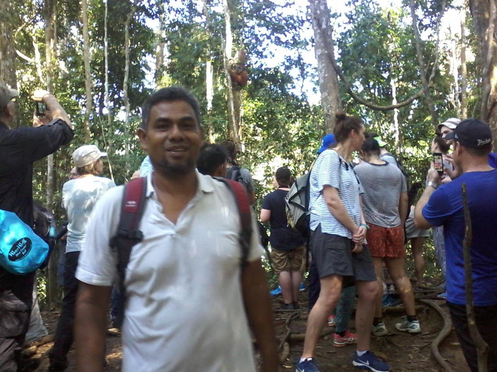Orangutantreksumatra & Lovely Jungle Lodge Only Book If You Are Treking With Us ブキットラワン 部屋 写真