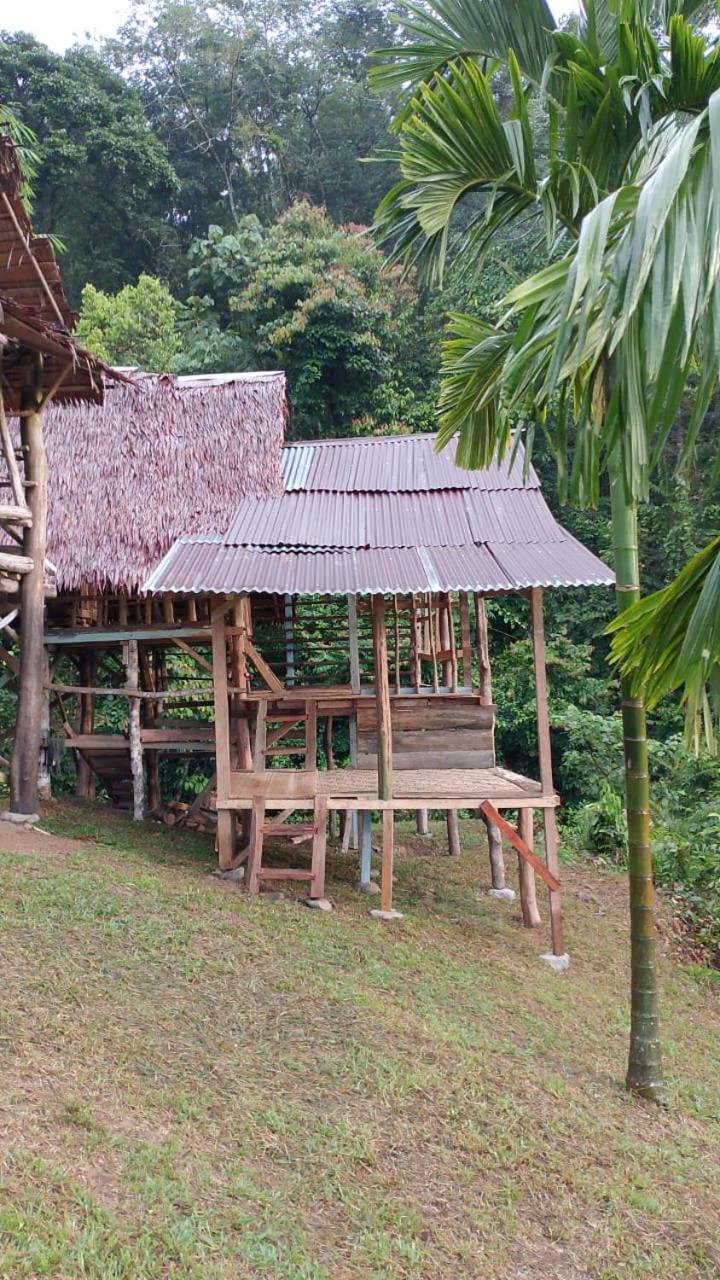 Orangutantreksumatra & Lovely Jungle Lodge Only Book If You Are Treking With Us ブキットラワン エクステリア 写真