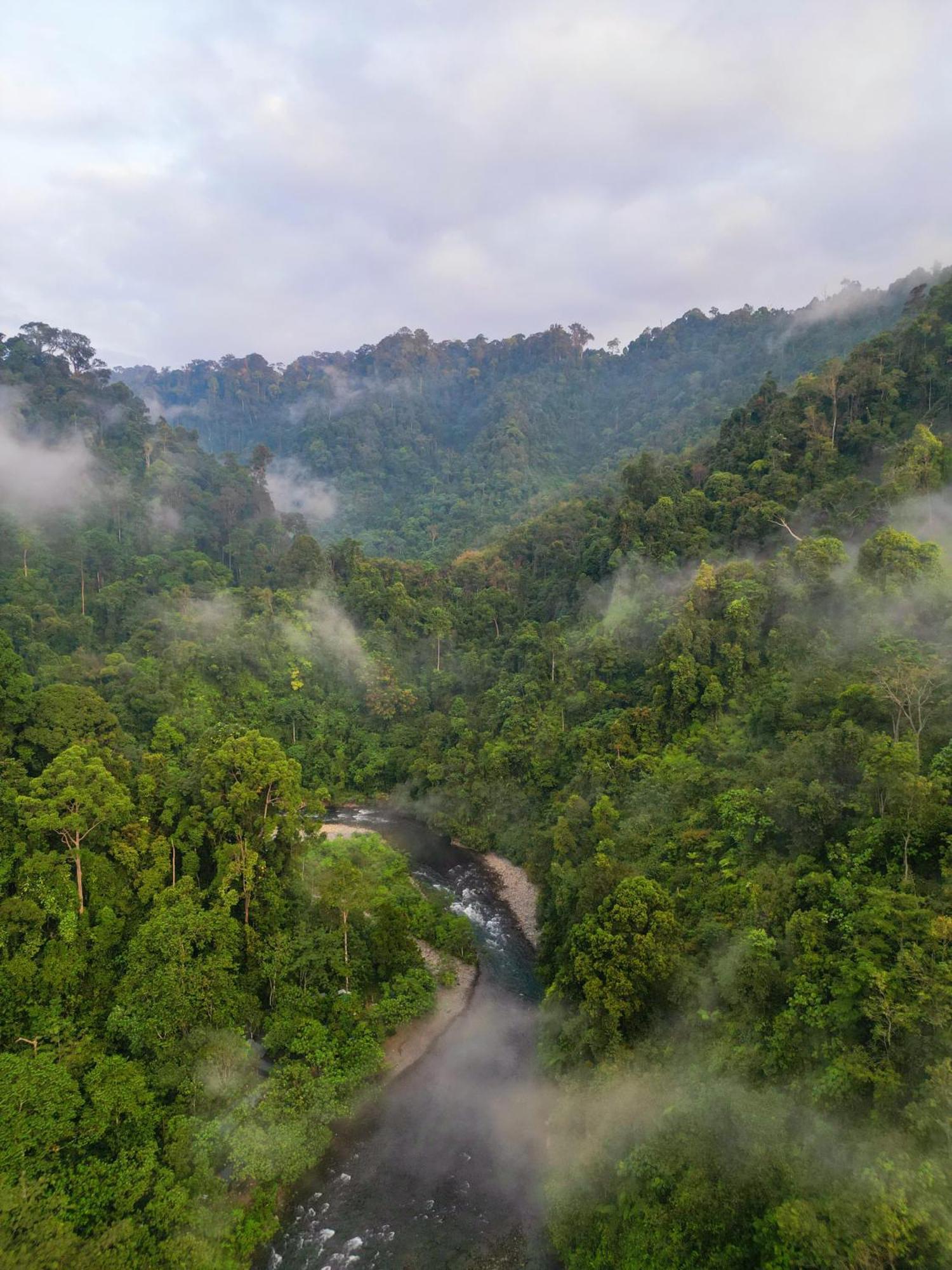 Orangutantreksumatra & Lovely Jungle Lodge Only Book If You Are Treking With Us ブキットラワン エクステリア 写真