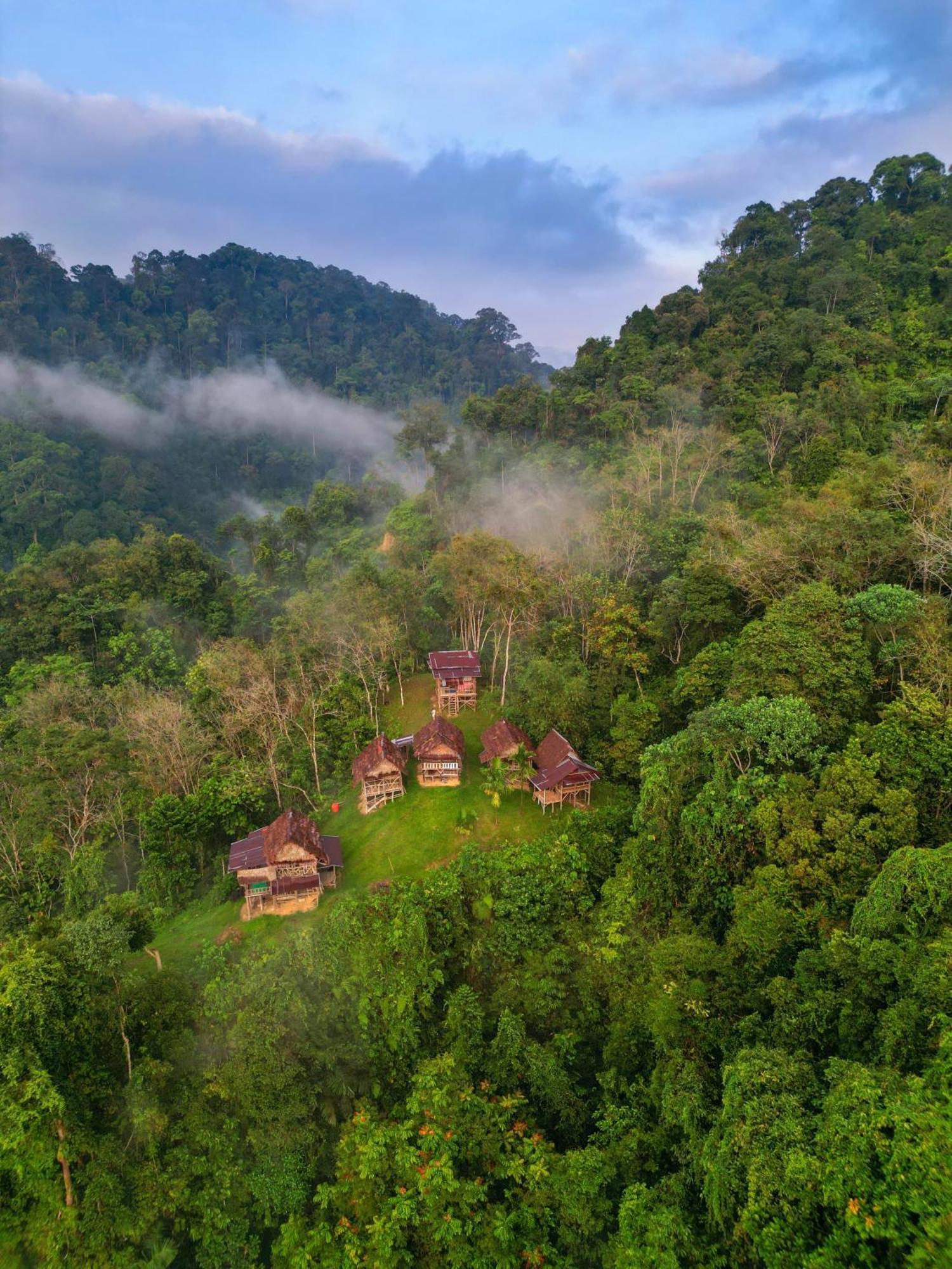Orangutantreksumatra & Lovely Jungle Lodge Only Book If You Are Treking With Us ブキットラワン エクステリア 写真