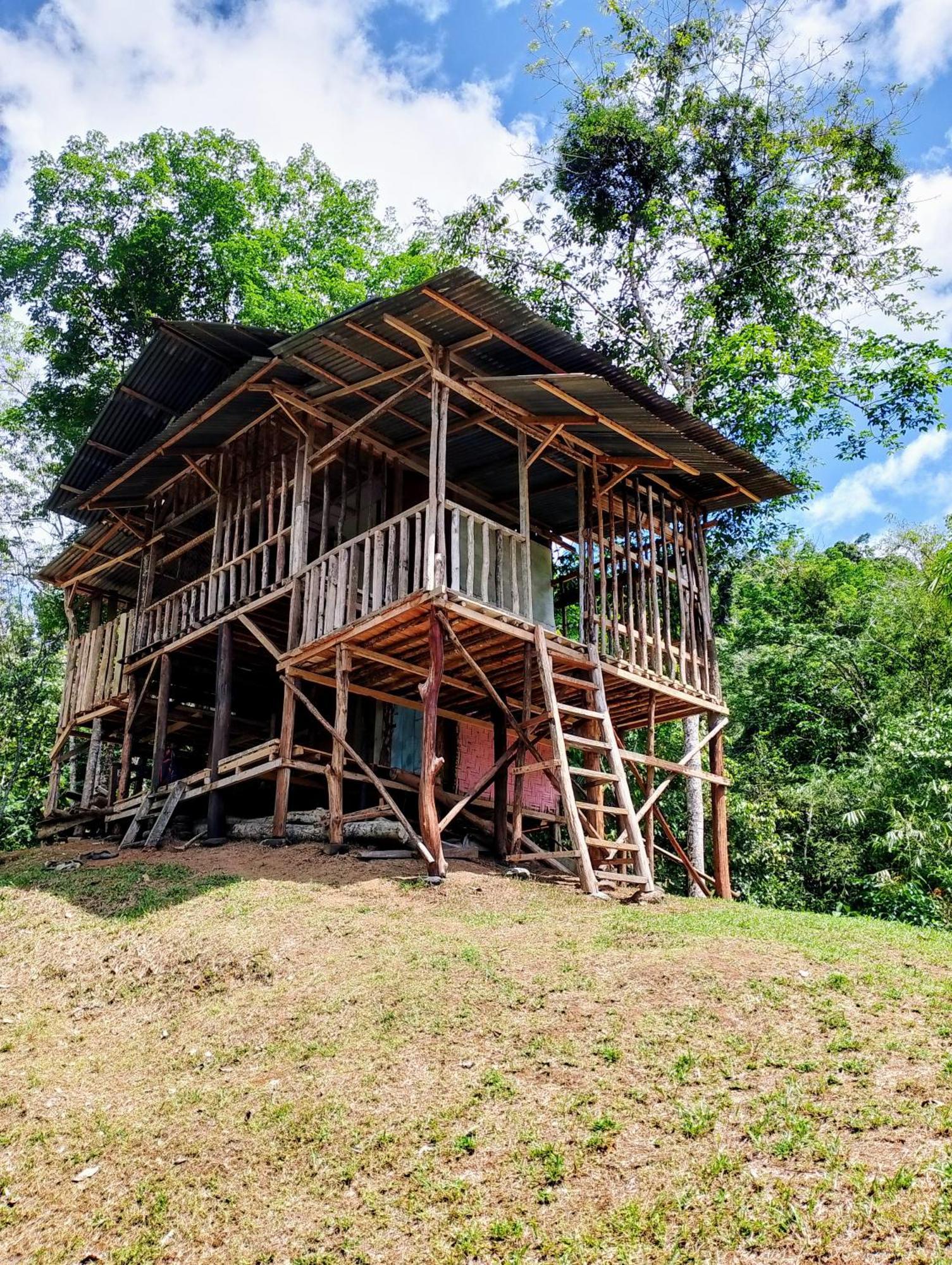 Orangutantreksumatra & Lovely Jungle Lodge Only Book If You Are Treking With Us ブキットラワン エクステリア 写真
