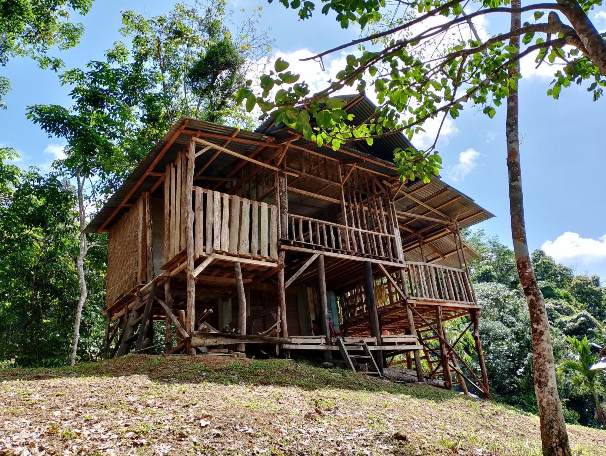 Orangutantreksumatra & Lovely Jungle Lodge Only Book If You Are Treking With Us ブキットラワン エクステリア 写真